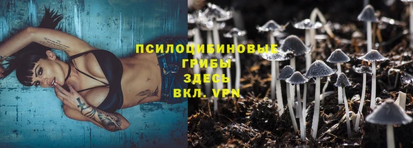 молекула духа Аркадак
