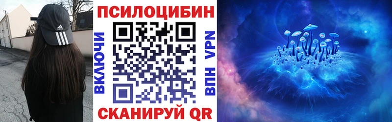 дарк нет какой сайт  Орлов  Псилоцибиновые грибы прущие грибы  наркошоп 